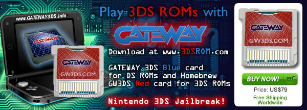 Gateway 3DS rom card